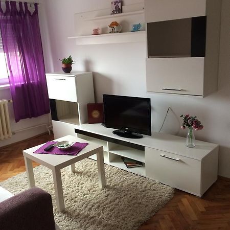 נובי סאד Tami Apartment מראה חיצוני תמונה