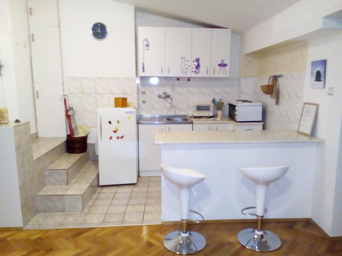 נובי סאד Tami Apartment מראה חיצוני תמונה