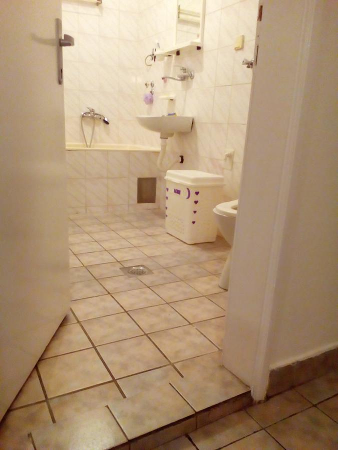 נובי סאד Tami Apartment מראה חיצוני תמונה