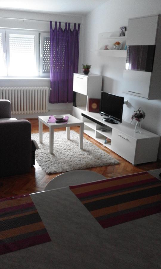 נובי סאד Tami Apartment מראה חיצוני תמונה